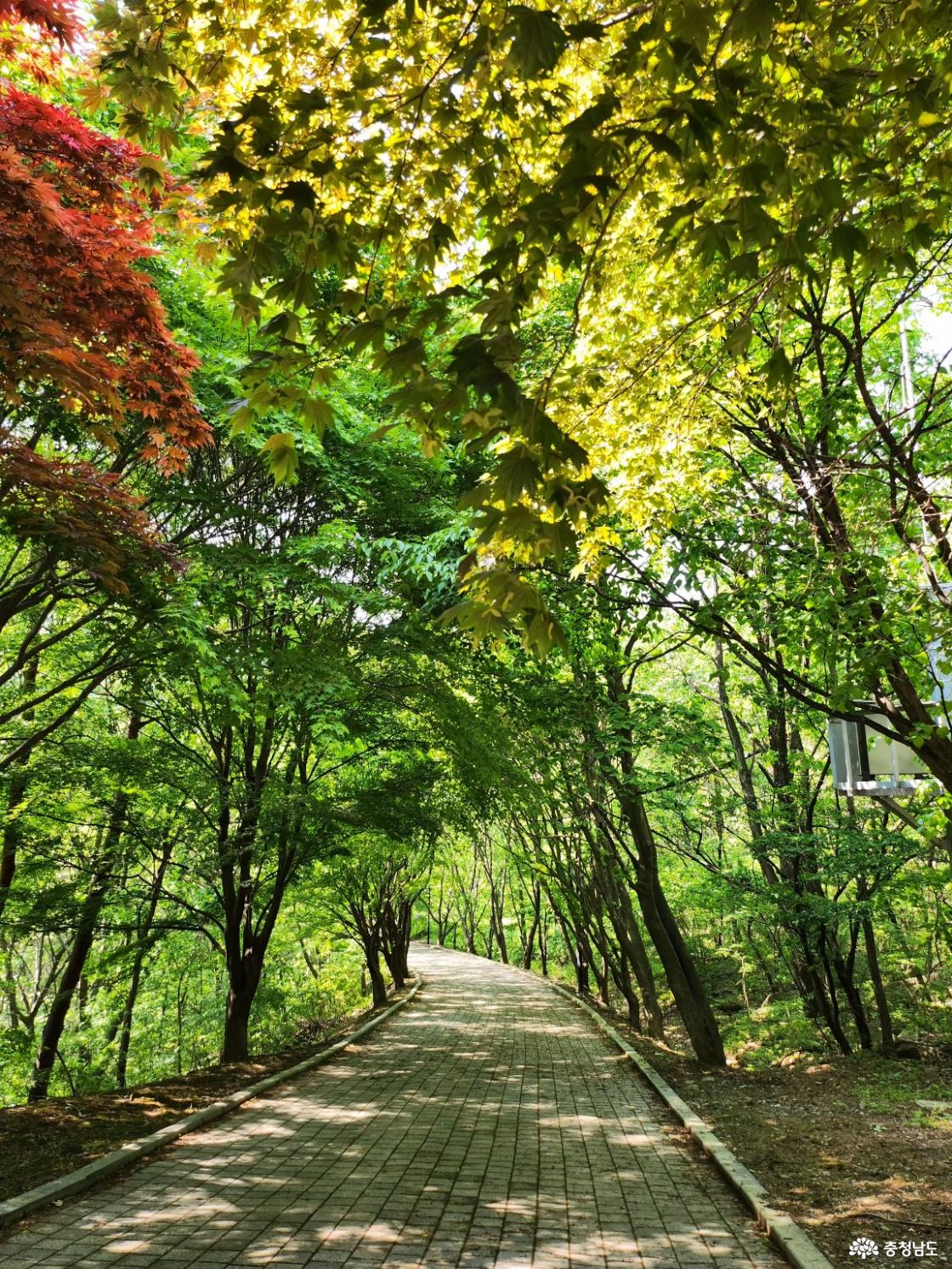 하산 길에서 
