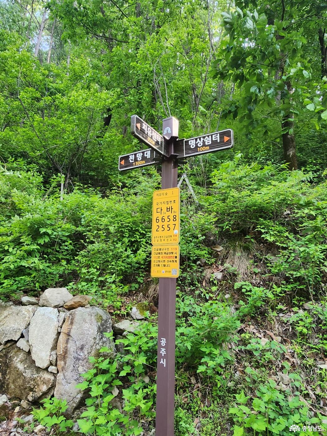 전망대까지 1,500m