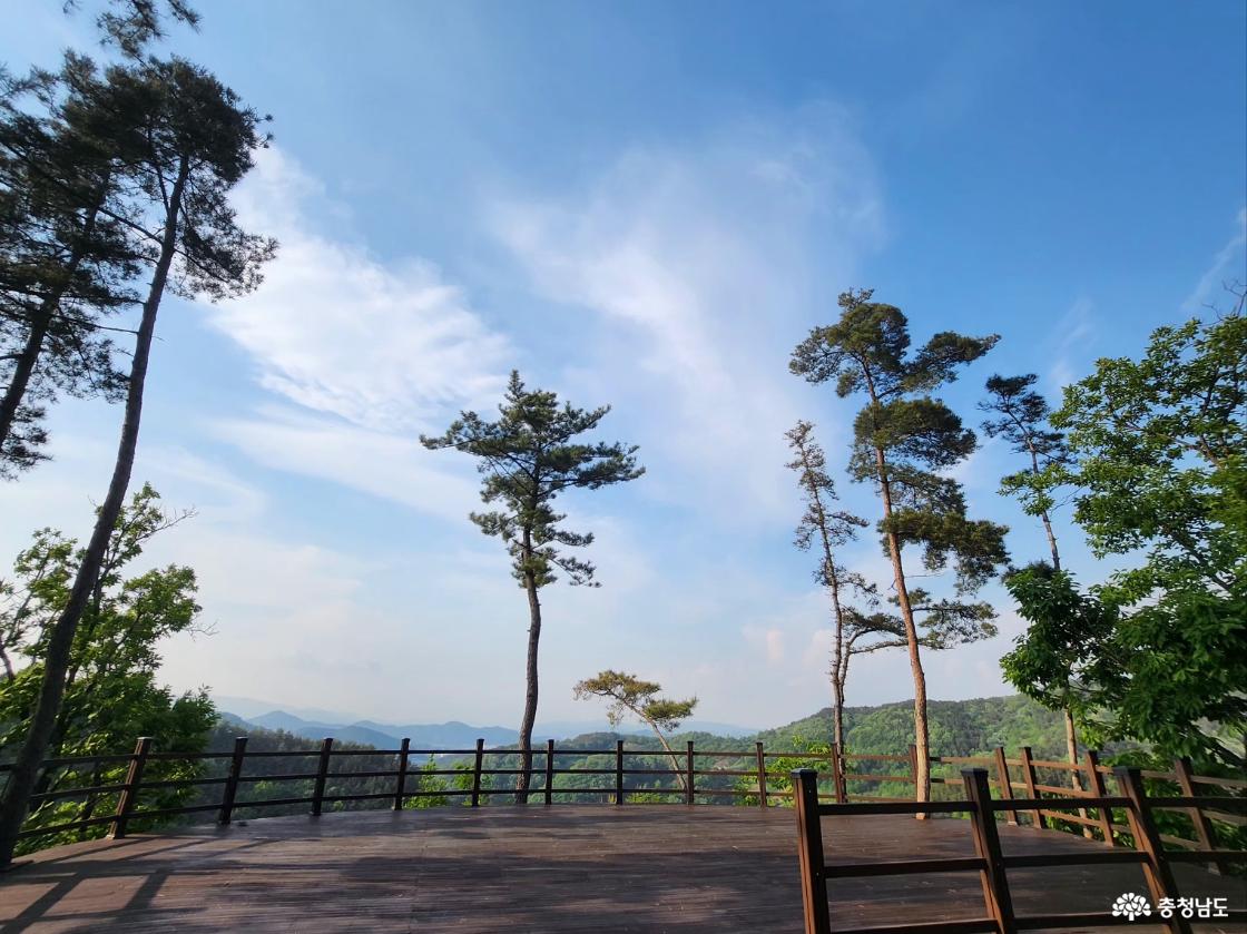 전망대