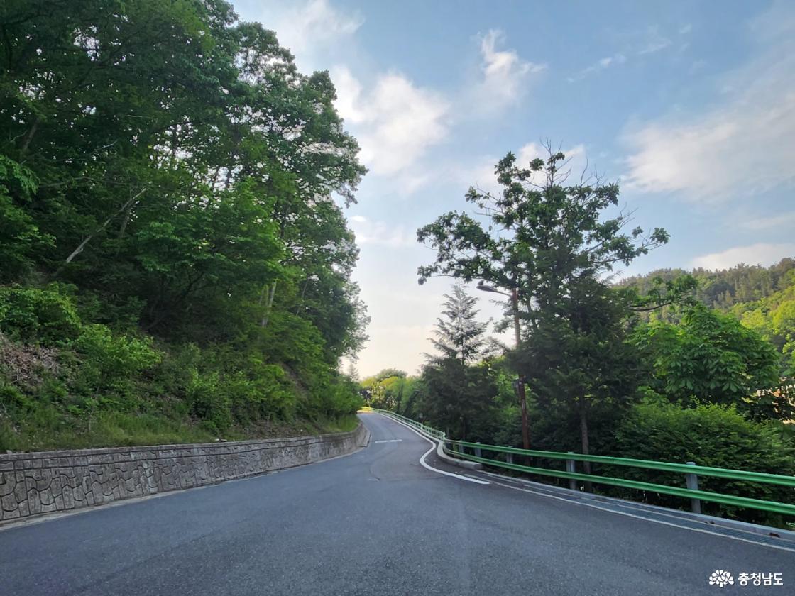 금학동 마을로 내려가는 길