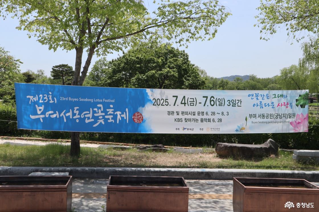 올해도 개최되는 부여서동연꽃축제