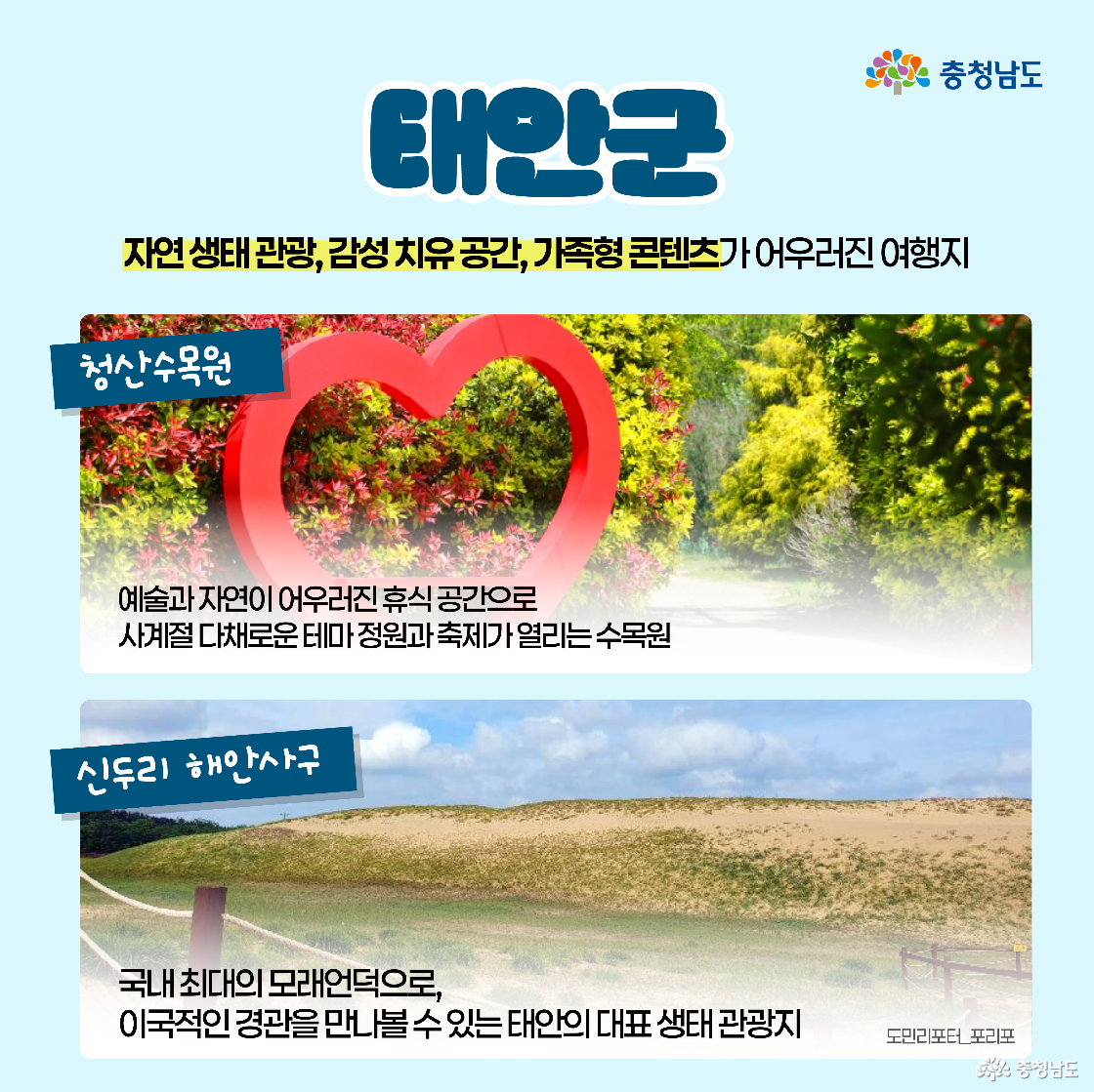 태안 ‘청산수목원’과 ‘신두리 해안사구’ 설명 이미지입니다. 수목원은 테마 정원과 예술 조형물이 어우러진 공간이며, 신두리 해안사구는 국내 최대의 모래언덕으로 생태 관광 명소입니다.