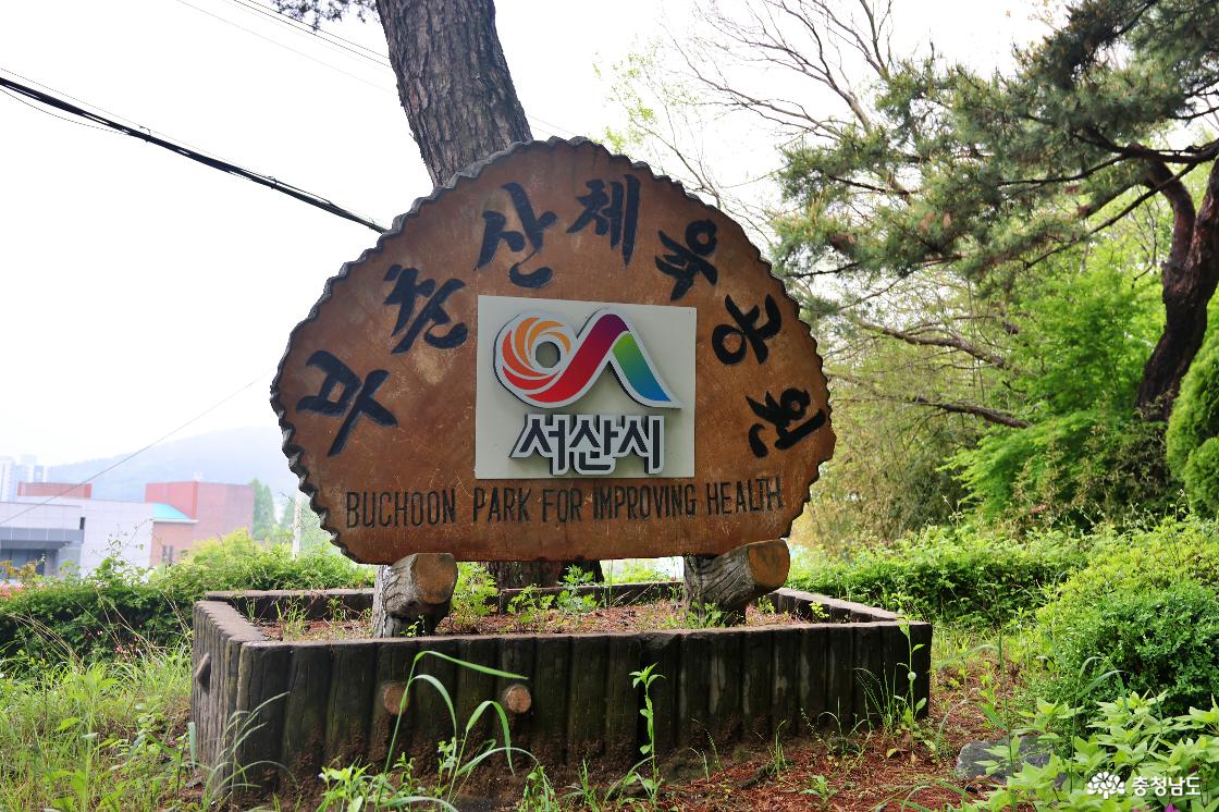 단군전의 숲길을 따라, 서산 부춘산 정상까지 걷다