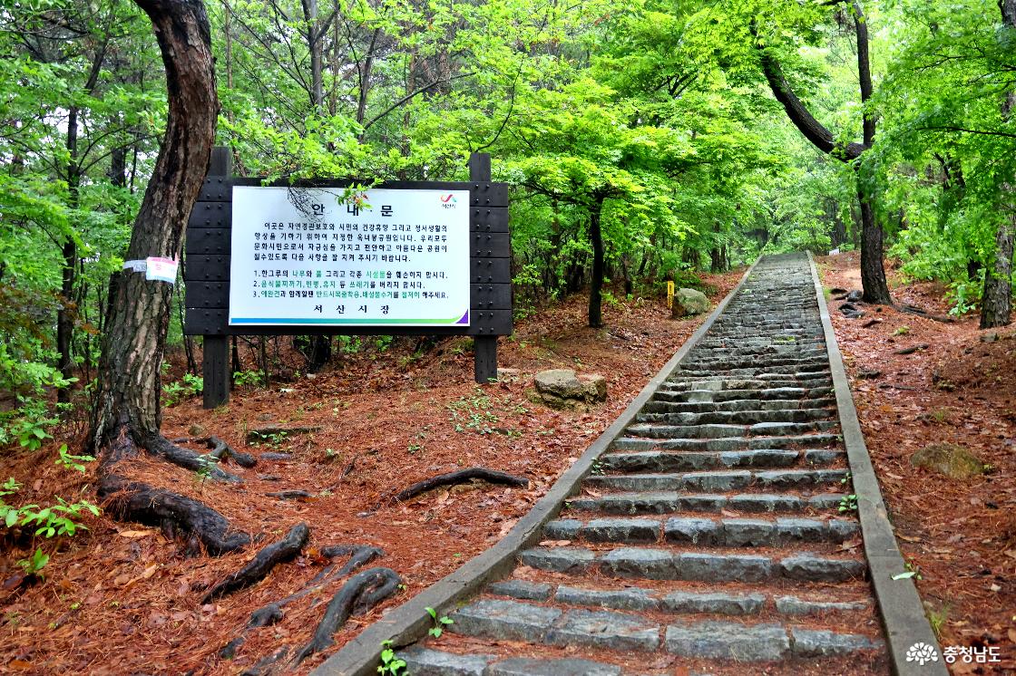 부춘산 등산로