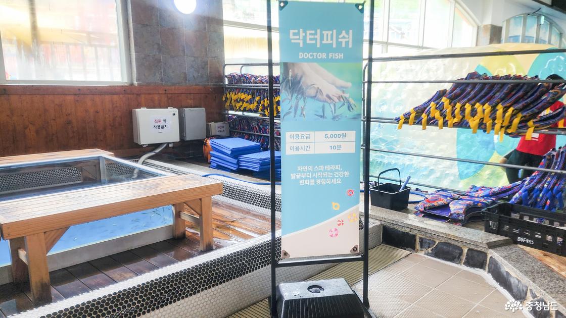 닥터피쉬체험