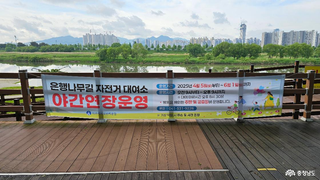 은행나무길 자전거 대여소 안내 현수막