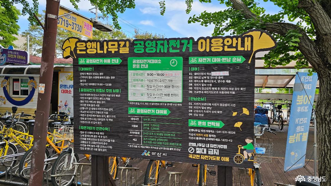 은행나무길 자전거 대여소