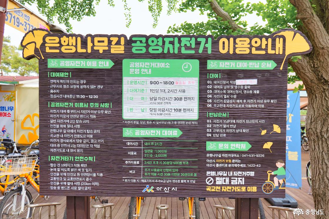 은행나무길 공영자전거 이용안내 간판