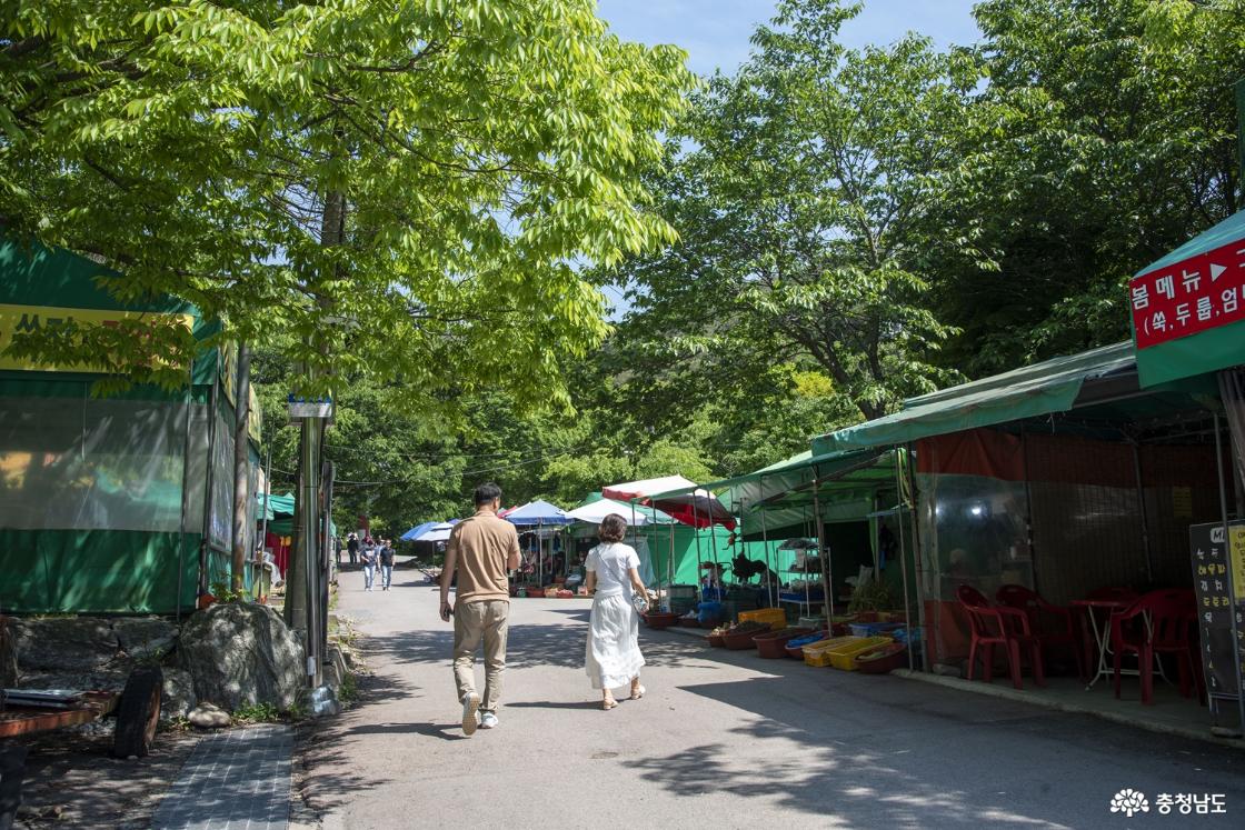 개심사를 도보로 가는 길 입구
