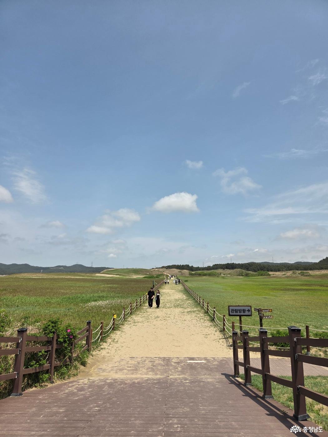 태안 신두리 해안사구