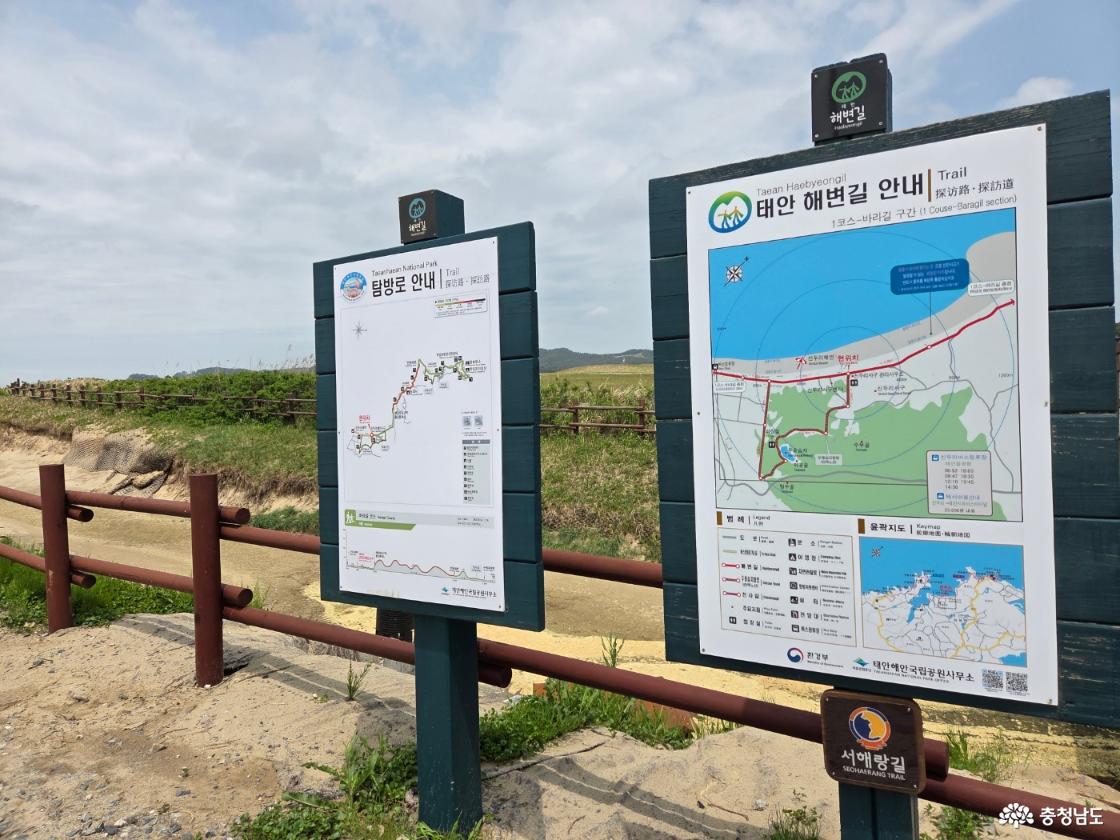 태안 신두리 해안사구