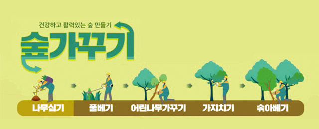 기후위기 대응 ‘맞춤형 숲’ 가꾼다  