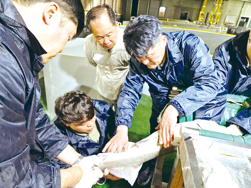 철갑상어 양식 산업에 새바람 