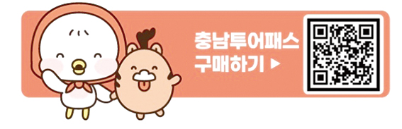충남 투어패스 구매하기