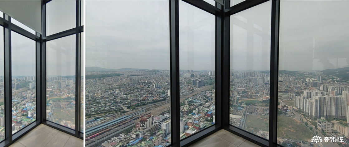 갤러리 카페 북동쪽 코너에서 바라본 풍경 