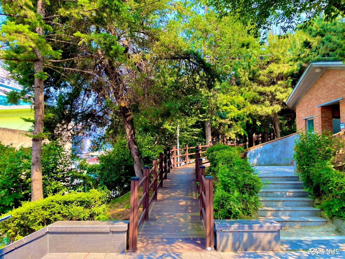 천안지역사전시관의 3층 출구에서 정면으로 바라본 남산근린공원의 반대편 산책길