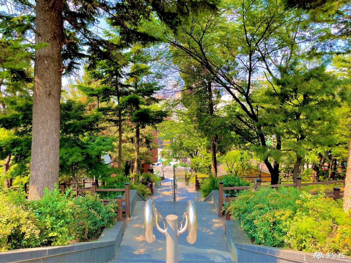 남산근린공원의 위에서 바라본 천안지역사전시관으로 향하는 길은 담은 사진