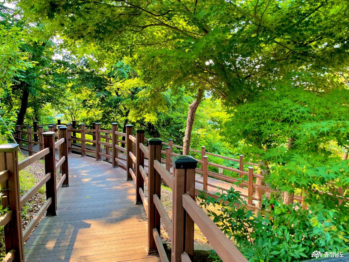 남산근린공원의 산책길 일부를 담은 사진