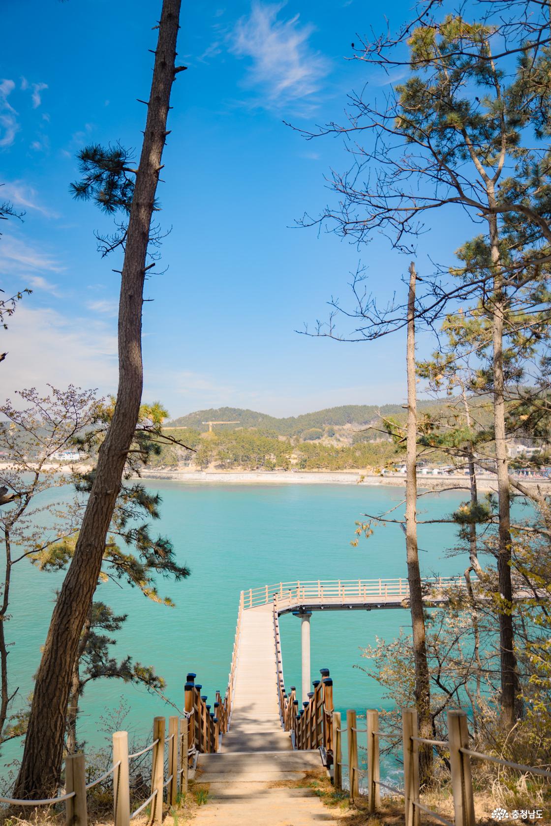 뭍닭섬 데크길 포토 포인트