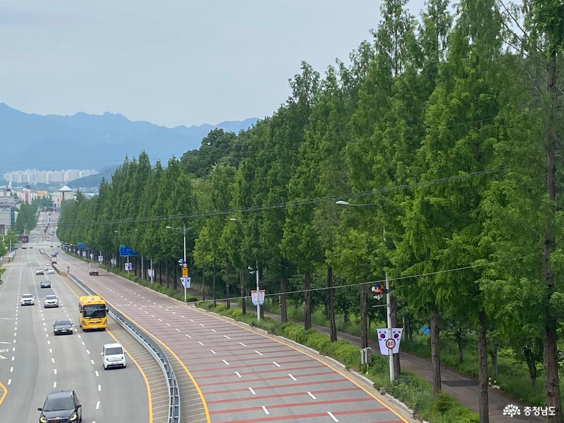 계룡문 188