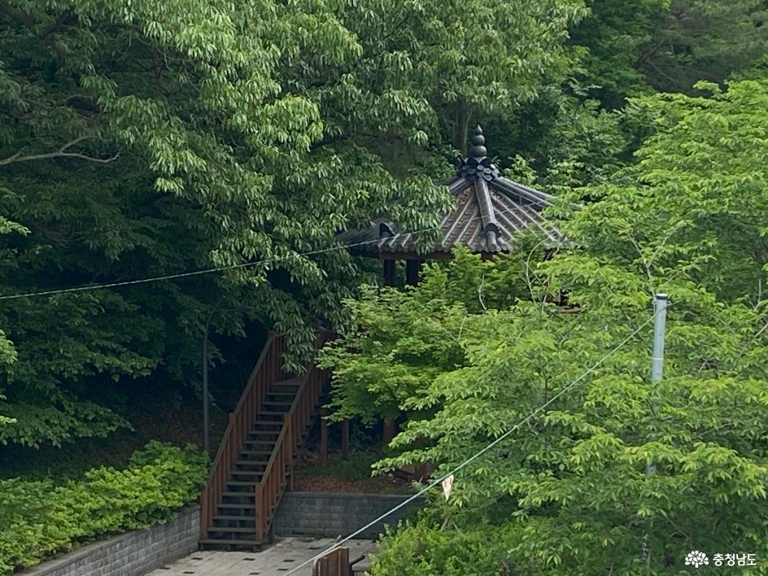 계룡문 199