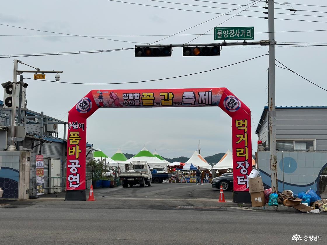 서천 장항항 꼴갑축제 방문후기 