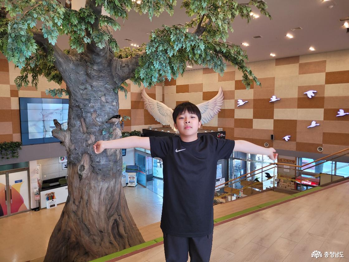 서산투어패스