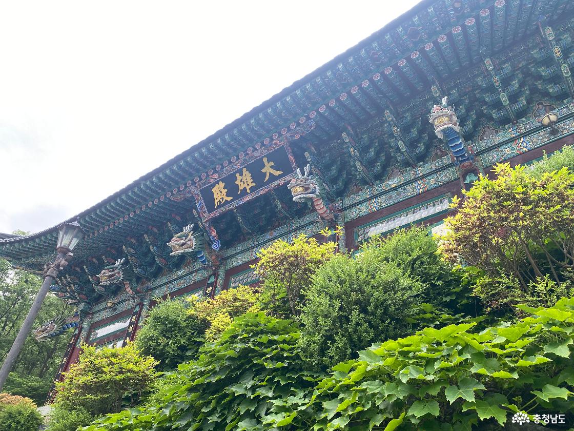 무상사 3
