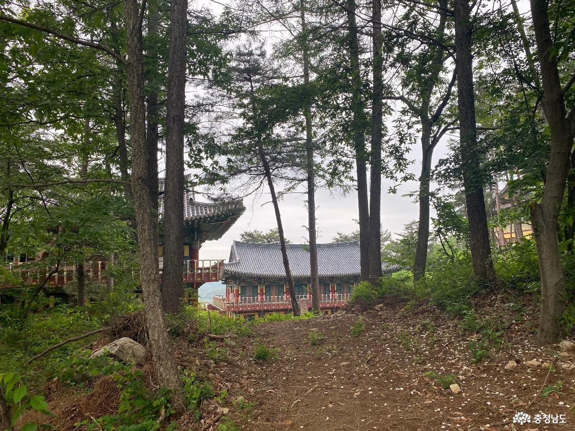 무상사 31