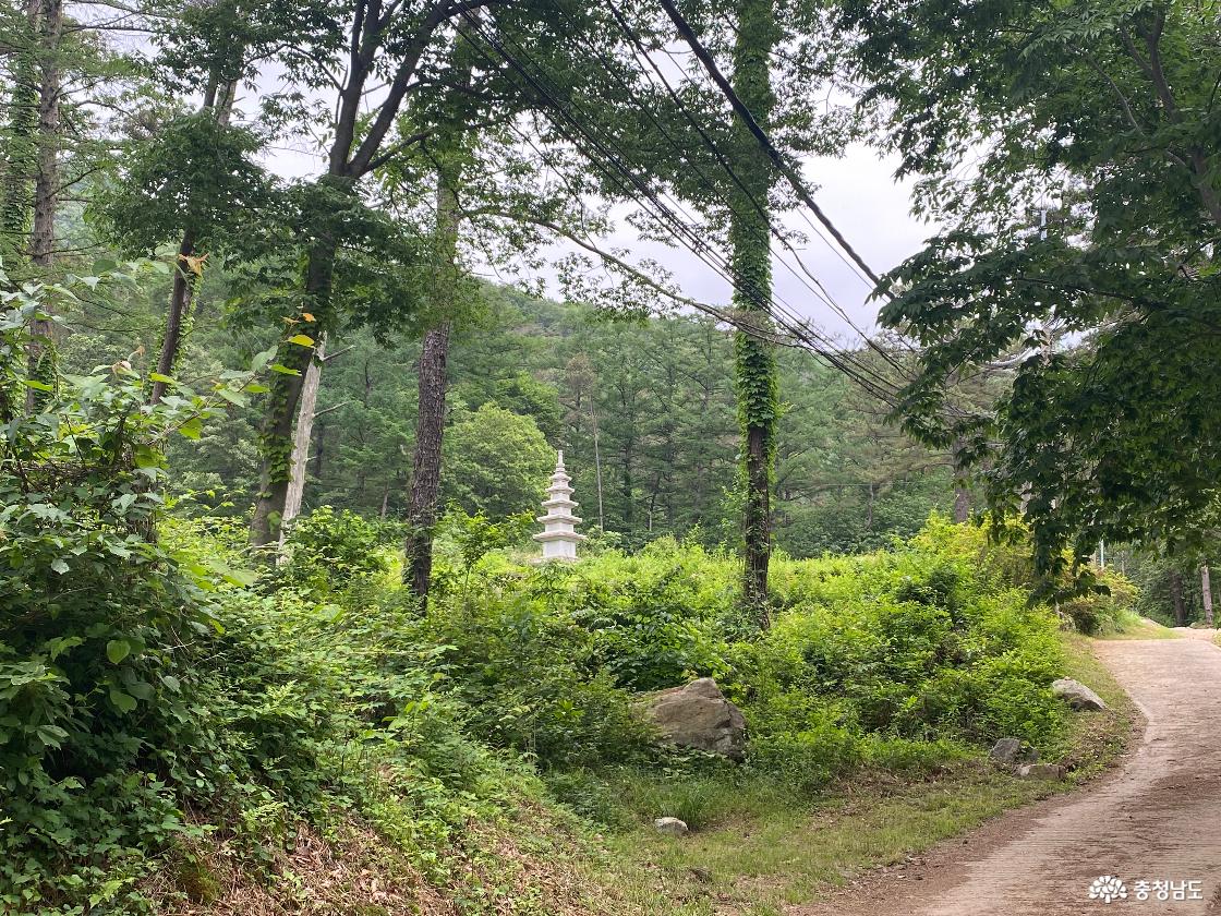 무상사 32