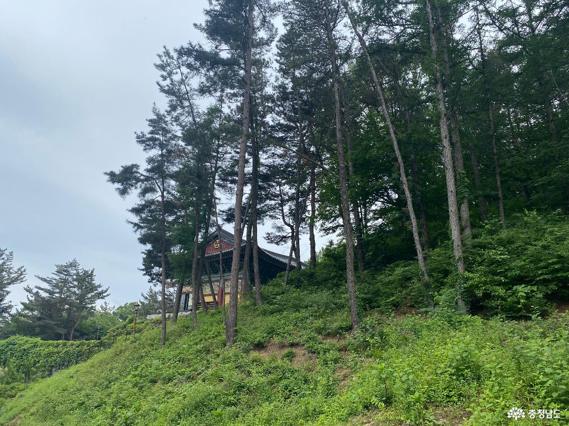 무상사 33