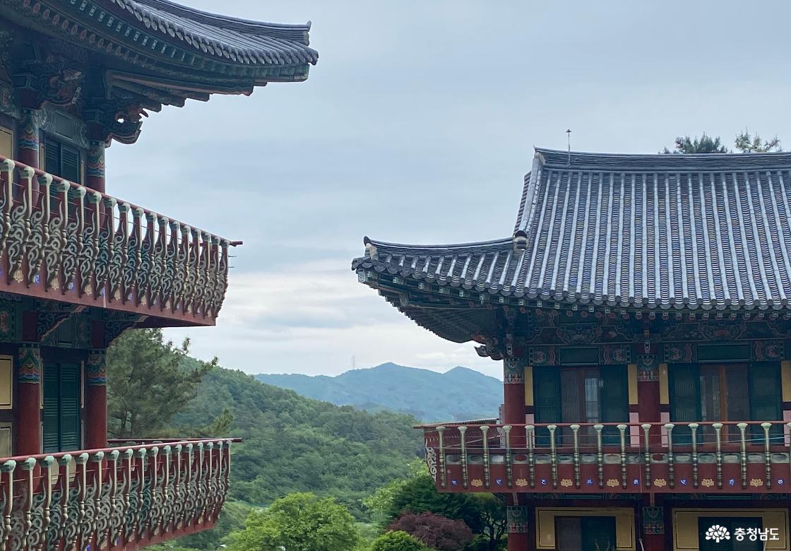 무상사 37