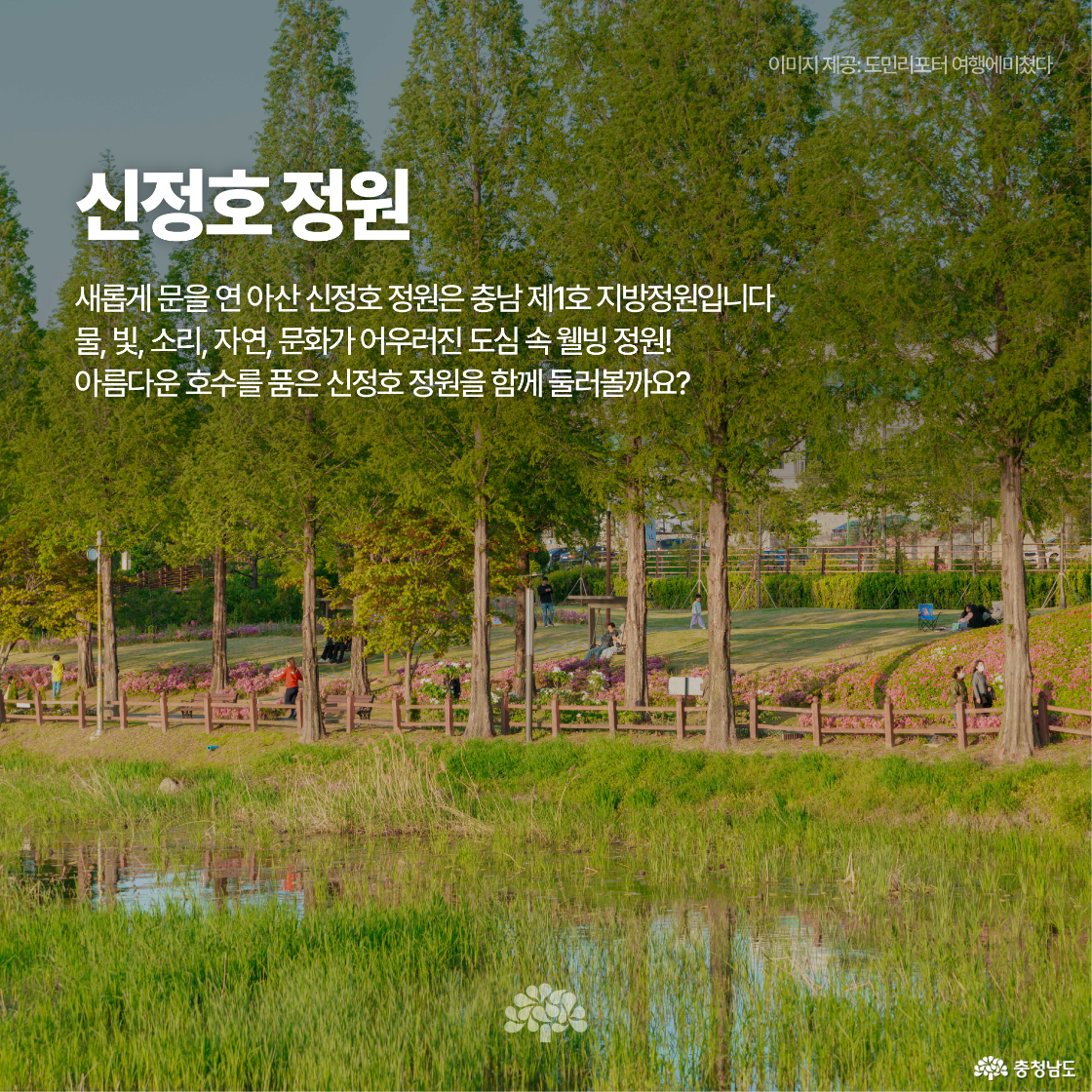 신정호 정원의 초록 나무와 잔디밭, 산책로를 배경으로 소개 문구가 삽입되어 있습니다. 충남 제1호 지방정원임을 알리며, 물·빛·자연이 어우러진 도심 속 웰빙 공간임을 강조합니다. 이미지 상단에는 출처인 도민리포터가 표시되어 있습니다.