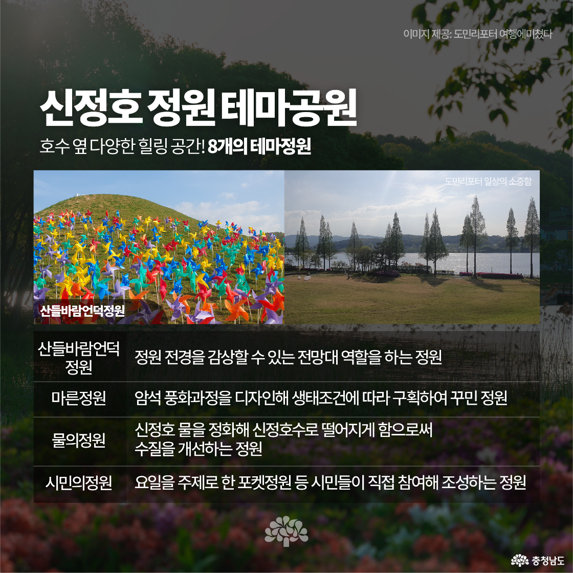 신정호 호수 주변 테마공원 중 산들바람언덕정원 등 4개 공간을 설명합니다. 바람개비가 가득한 언덕 사진과 탁 트인 호수 전경이 포함되어 있으며, 각 정원의 역할과 디자인 개요가 안내되어 있습니다. 도민리포터 출처도 함께 명시되어 있습니다.