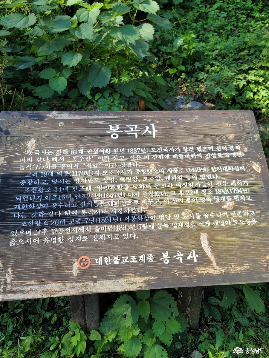 봉곡사 천년의 숲길