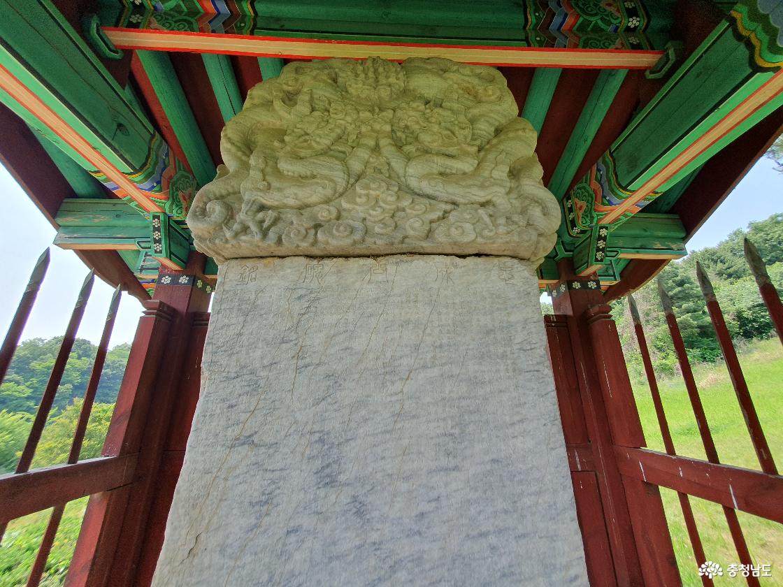 비신