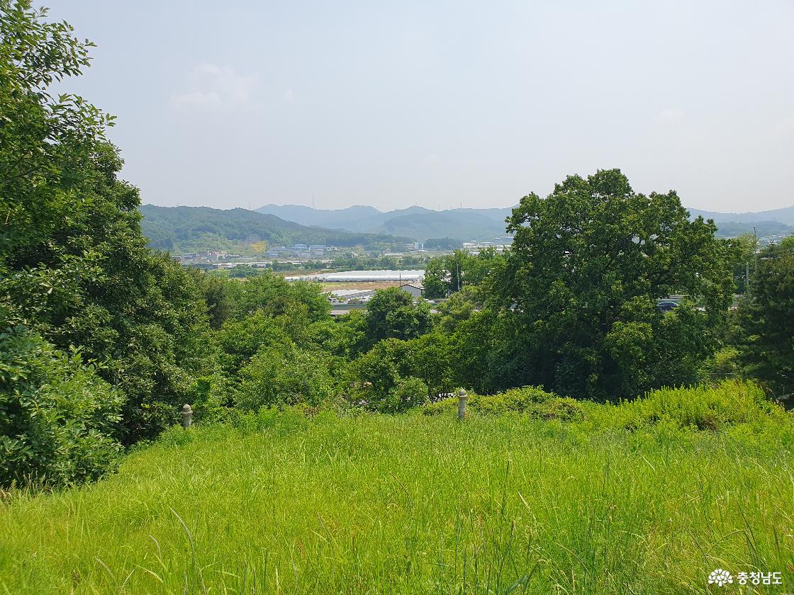 망주석