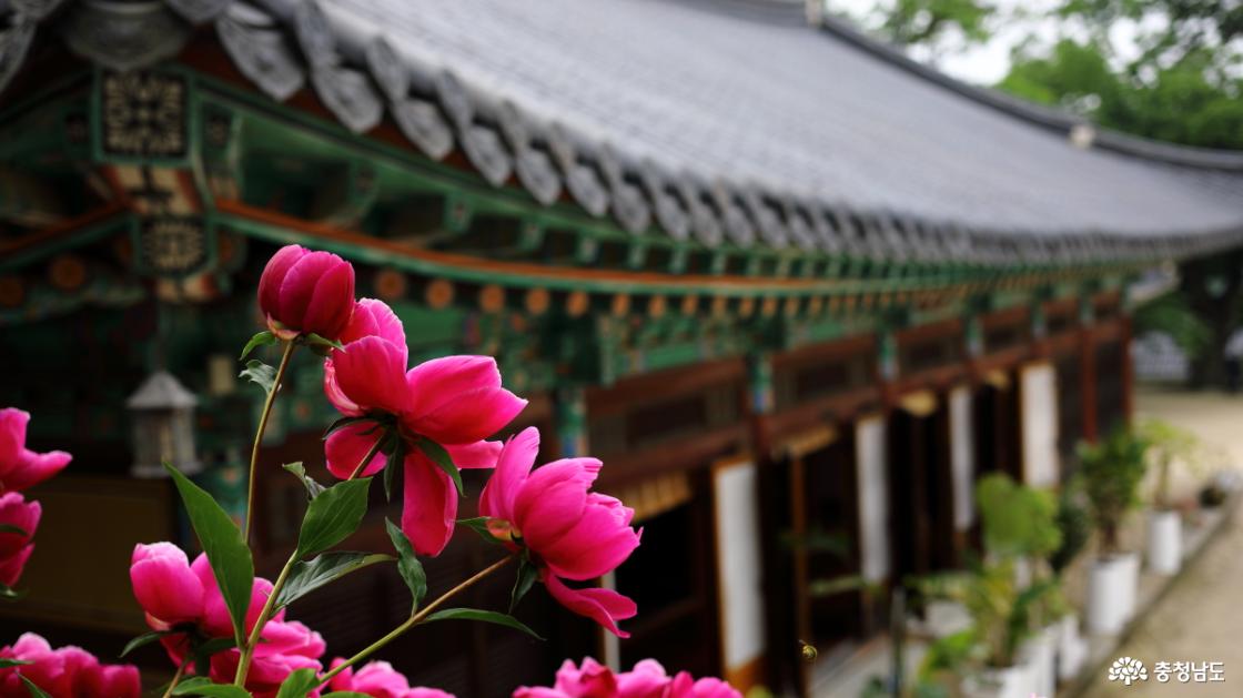 수덕사