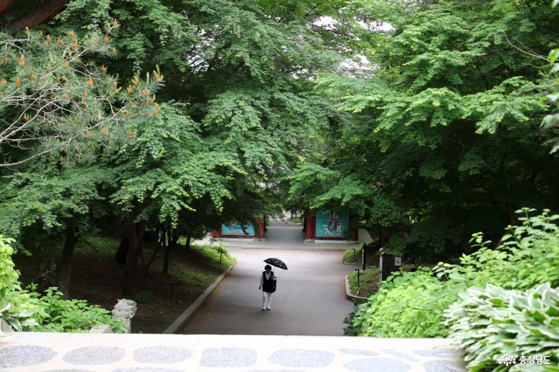 수덕사