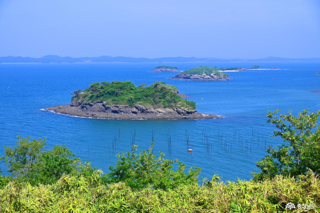 죽도 인근 섬