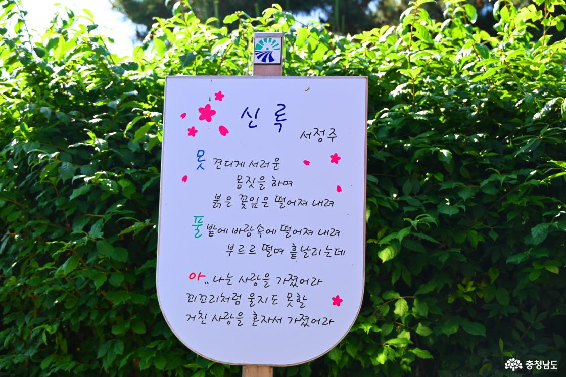 죽도 시화대