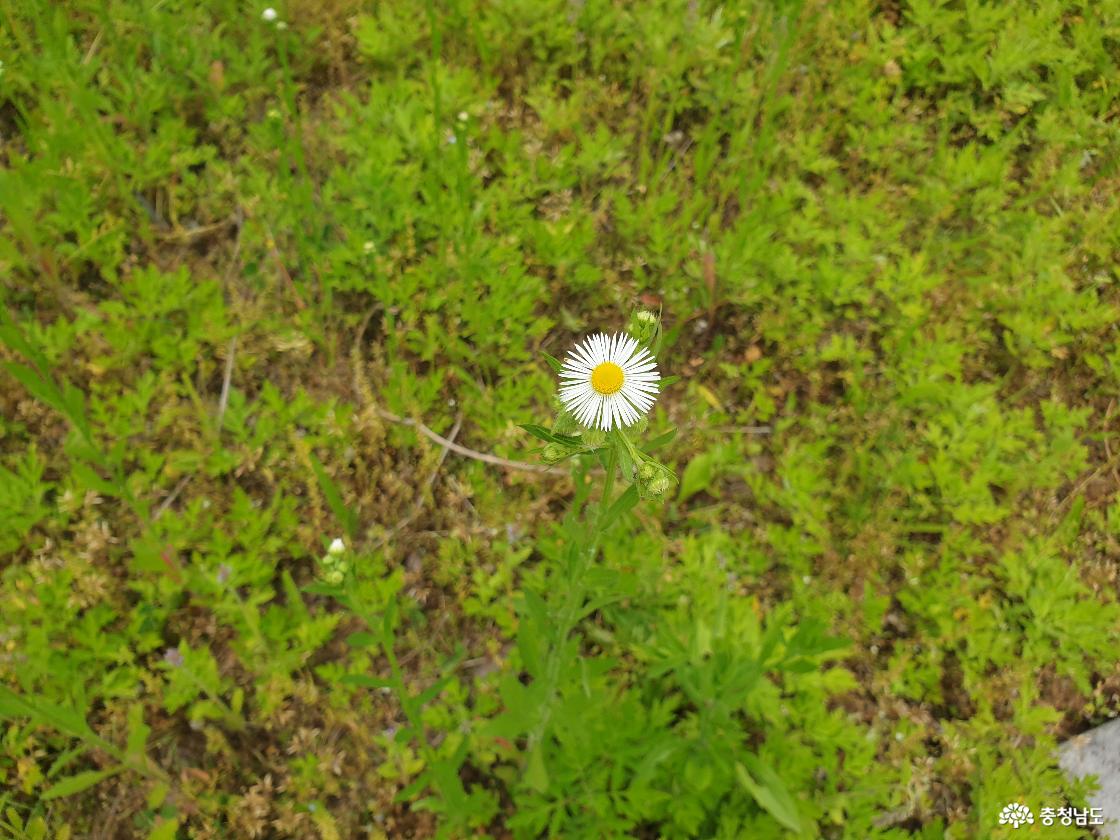 오천재