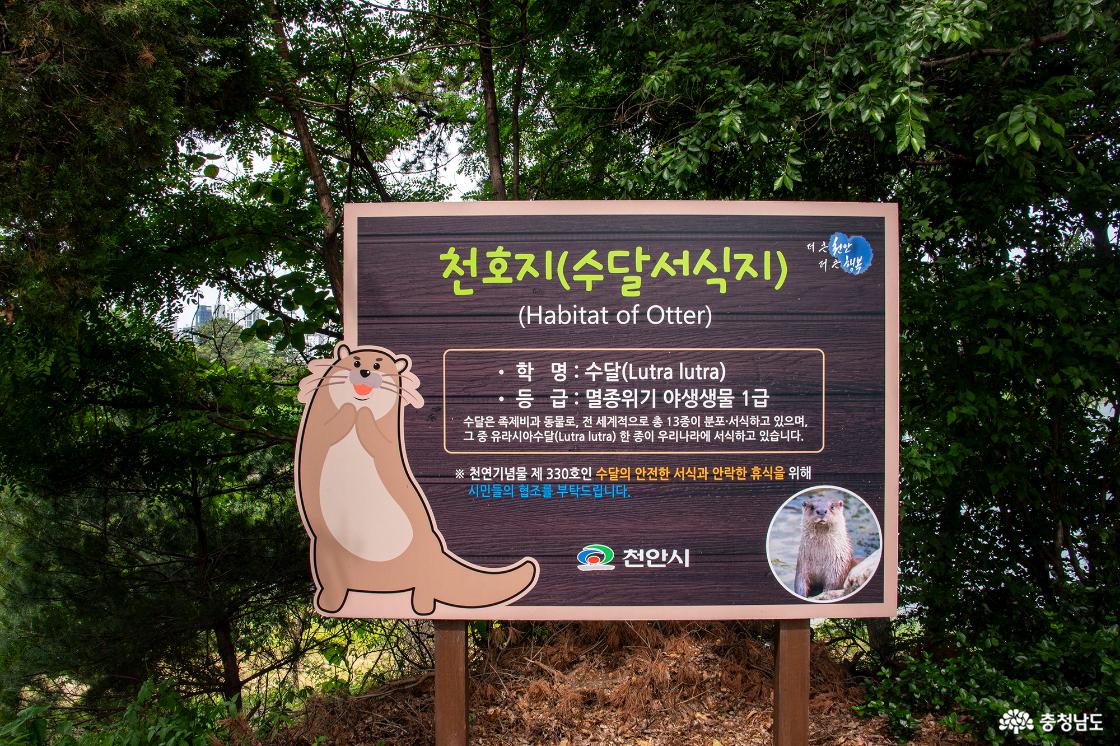 수달서식지 안내도