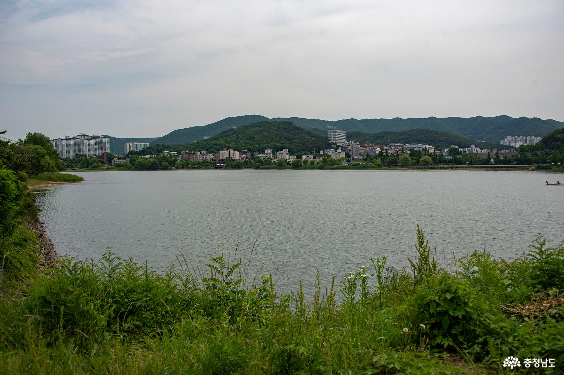 천호지의 모습