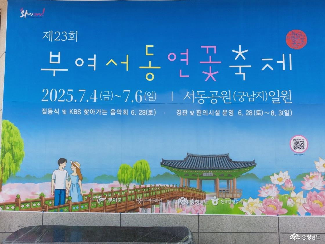 부여 서동 연꽃축제
