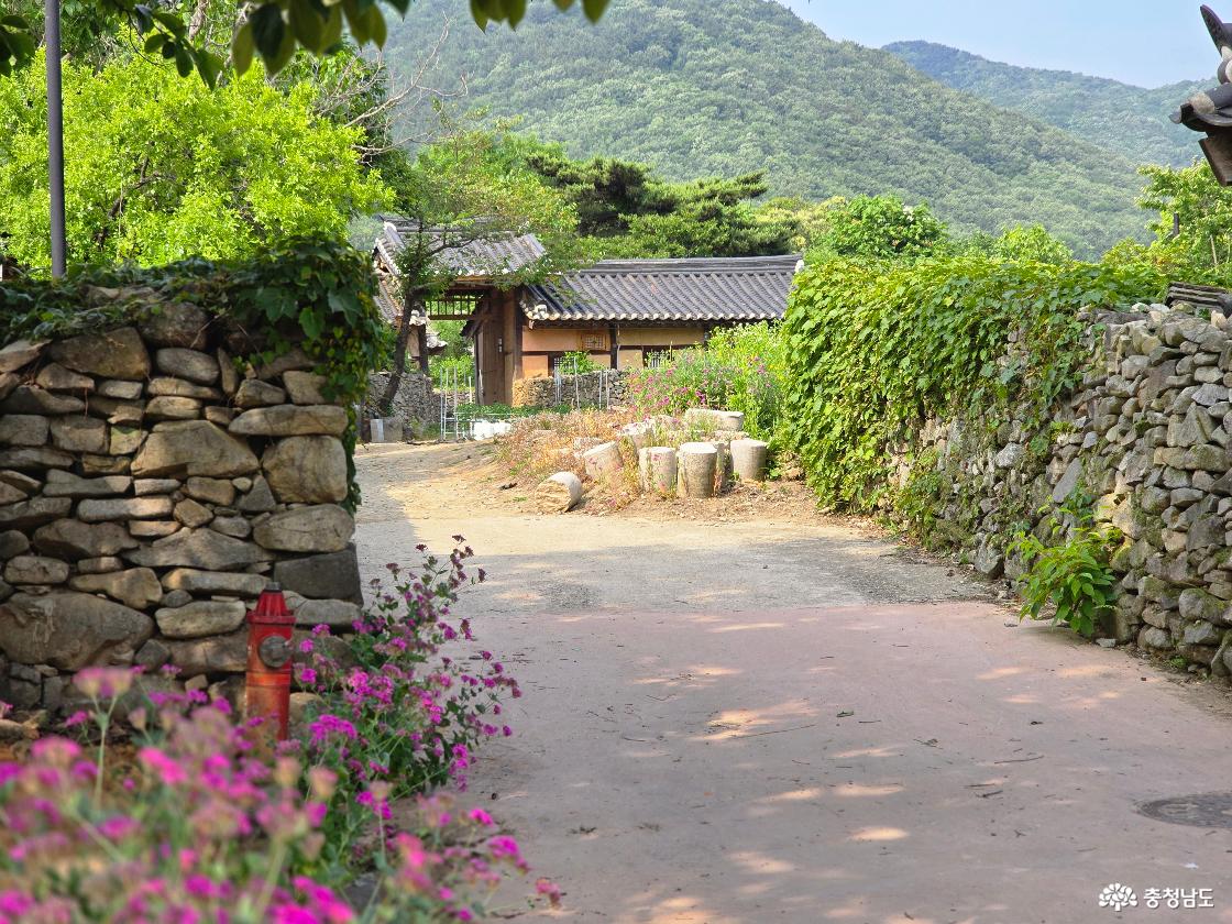 돌담길 풍경