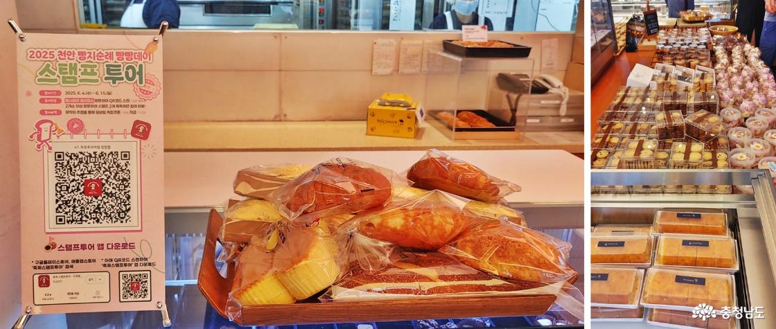 뚜쥬루 성정점에 진열된 다양한 빵들