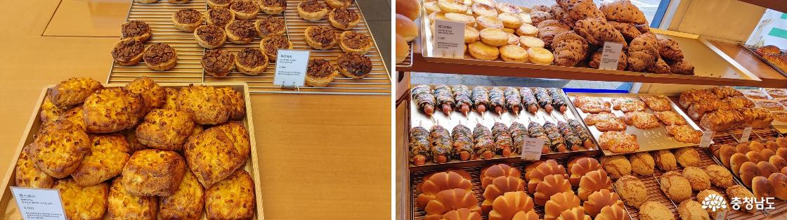 뚜쥬루 성정점 매장에 진열된 다양한 빵들