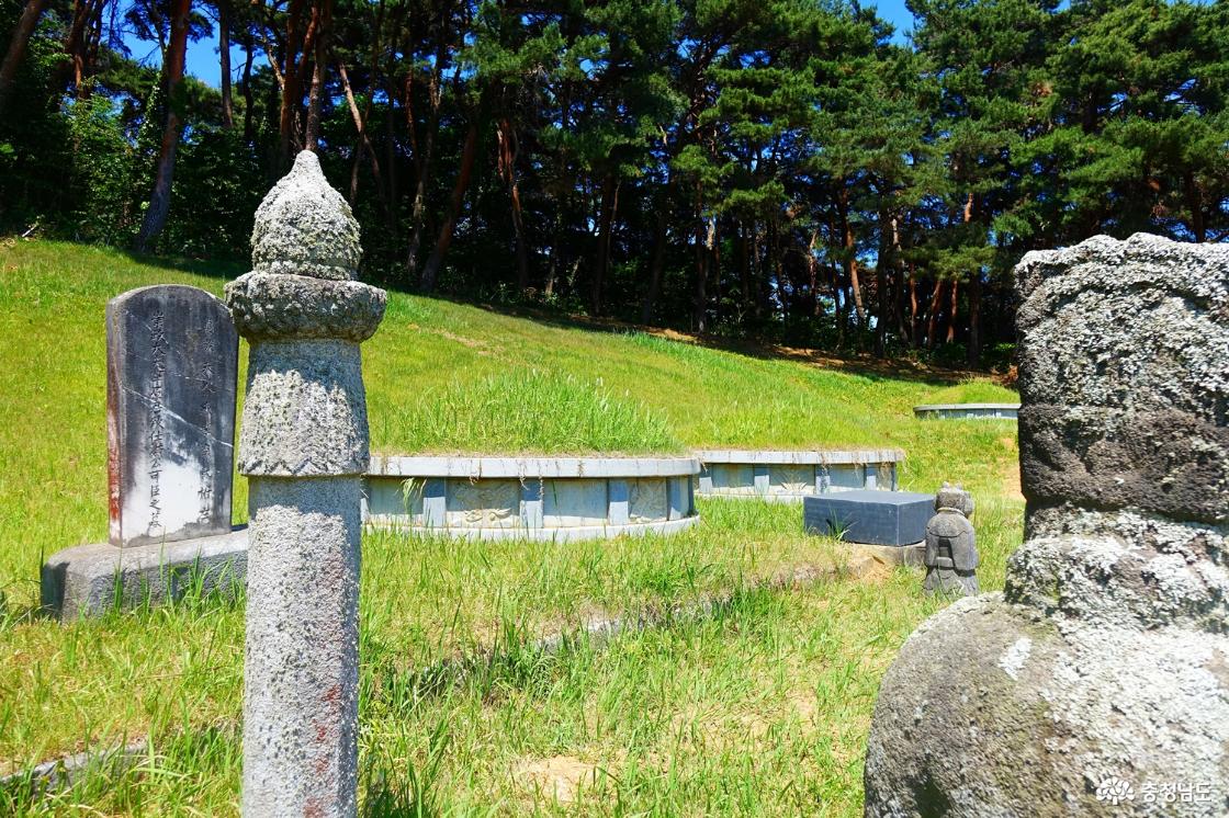 홍가신 선생 묘