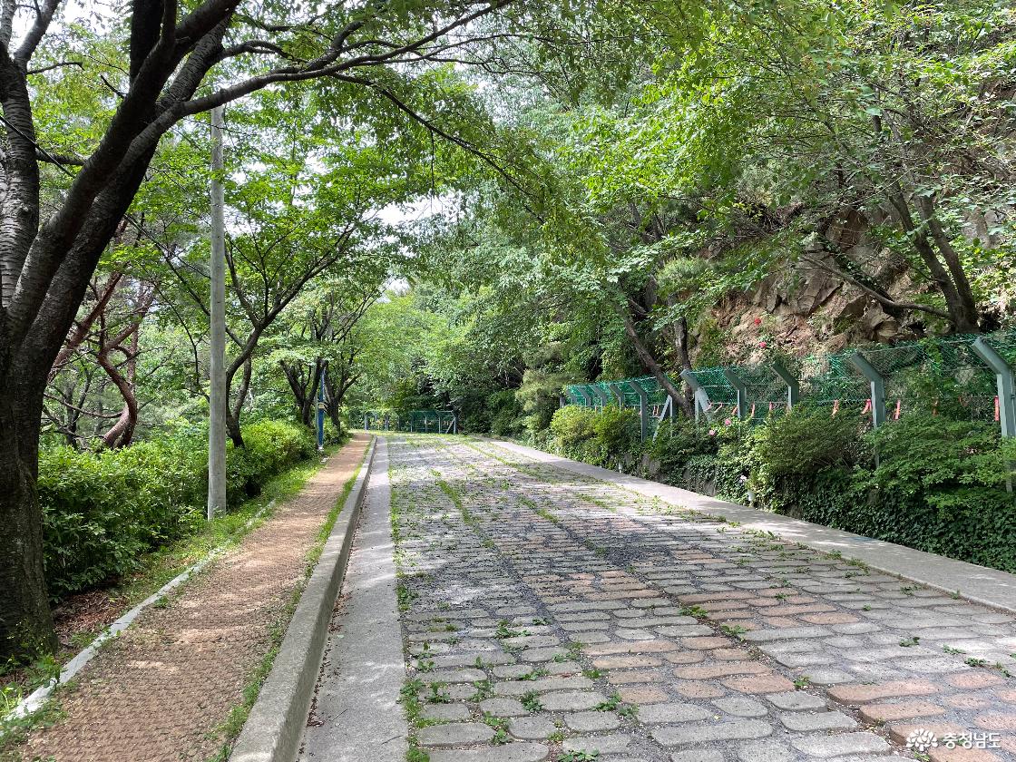 보령 옥마정 산책로